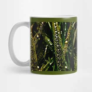 Golden Drops of Dew Mug